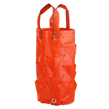 Load image into Gallery viewer, Garden Strawberry Grow Bag
