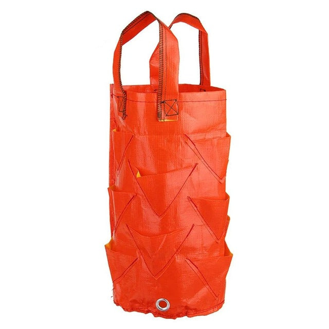 Garden Strawberry Grow Bag