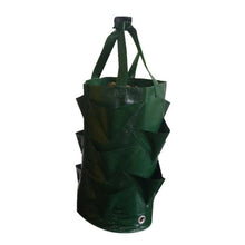 Load image into Gallery viewer, Garden Strawberry Grow Bag
