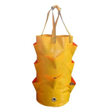 Load image into Gallery viewer, Garden Strawberry Grow Bag
